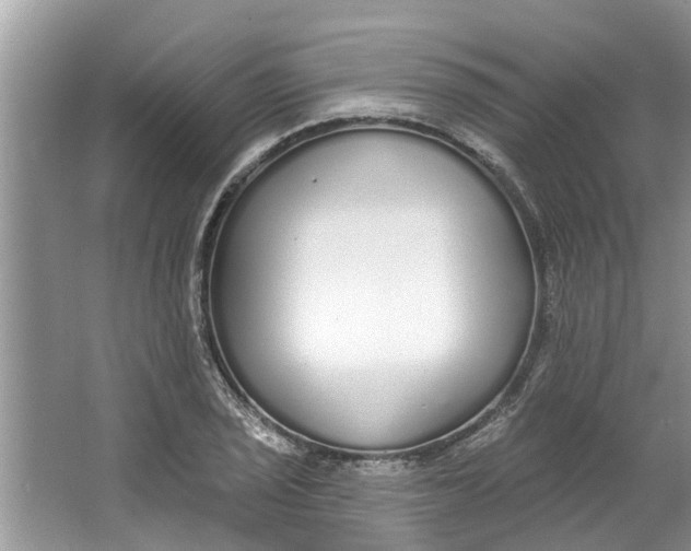 X0000064051029200602101445