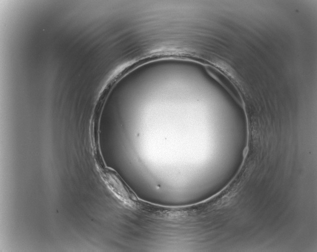 X0000064051030200602101445