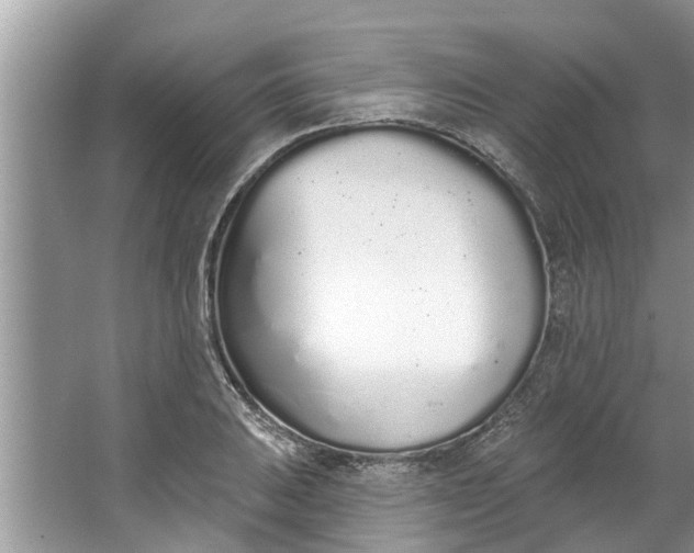 X0000064051031200602101445