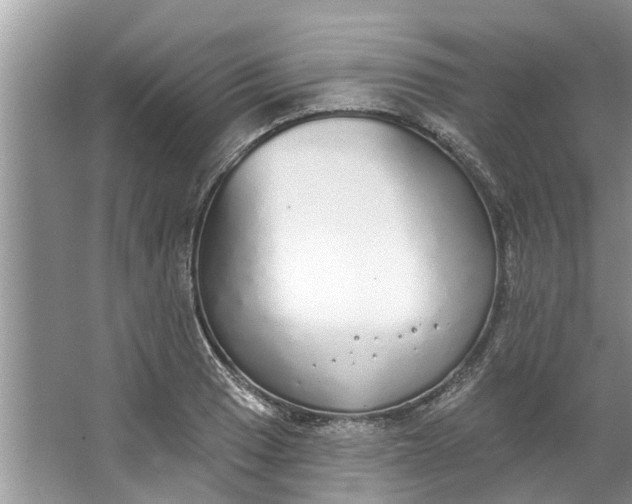 X0000064051033200602101445