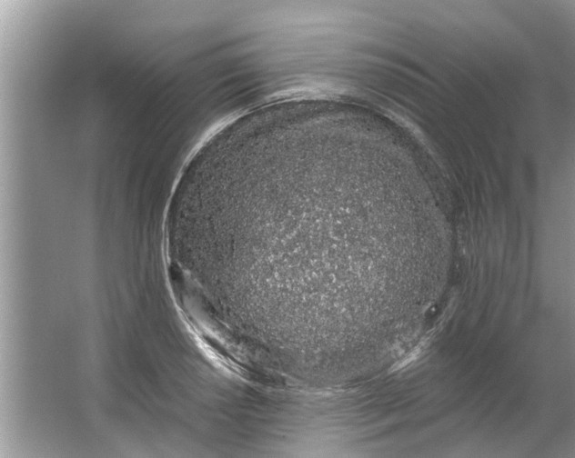 X0000064051034200602101445