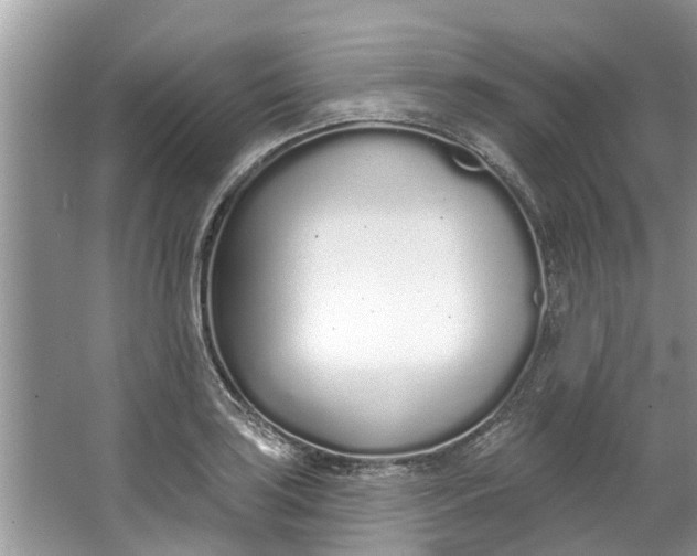 X0000064051035200602101445