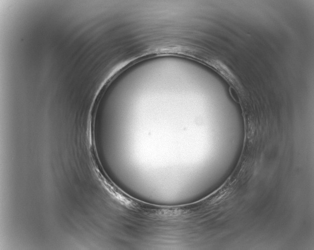 X0000064051036200602101445