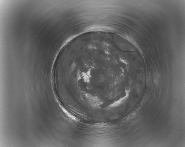 X0000064051037200602101445