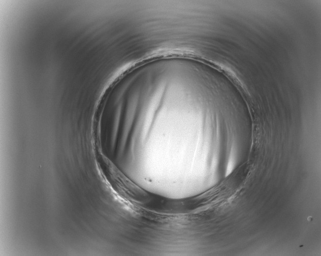 X0000064051038200602101445