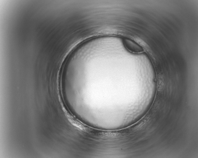 X0000064051039200602101445