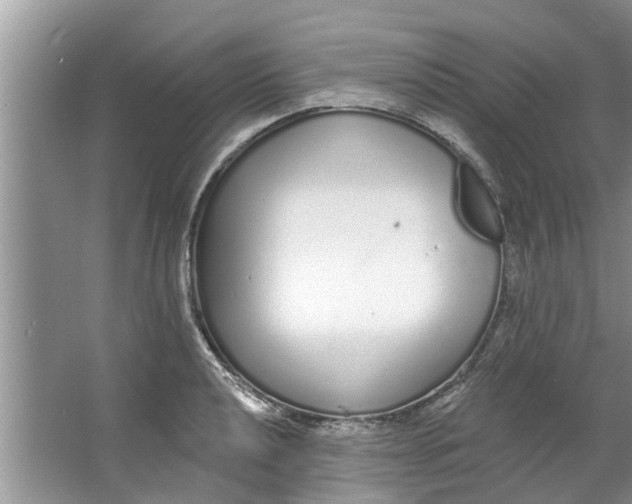 X0000064051040200602101445