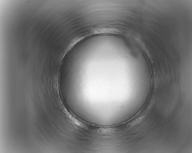 X0000064051041200602101445