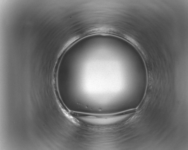 X0000064051042200602101445