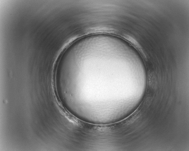 X0000064051043200602101445