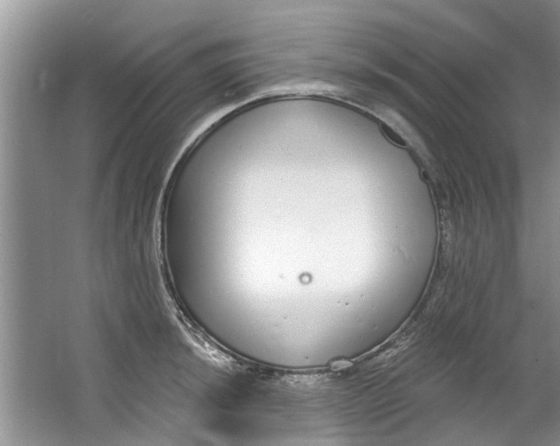 X0000064051044200602101445