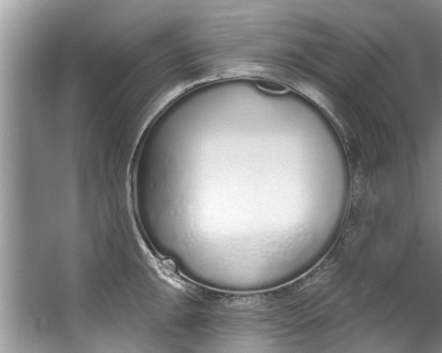 X0000064051047200602101445