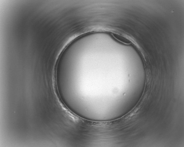 X0000064051048200602101445