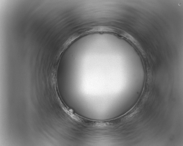 X0000064051049200602101445