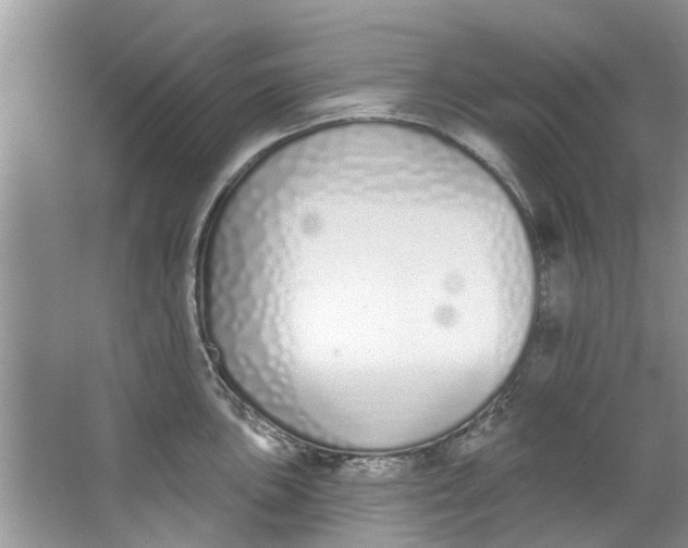 X0000064051051200602101445