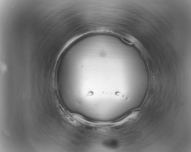 X0000064051052200602101445