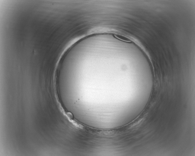 X0000064051053200602101445