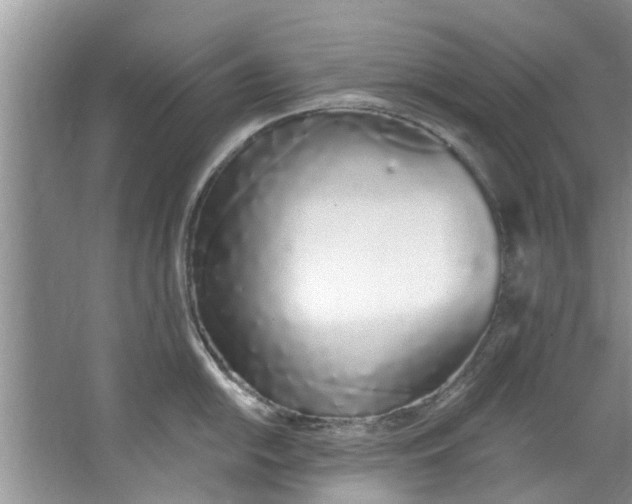 X0000064051054200602101445