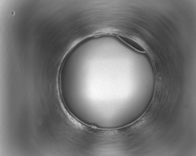 X0000064051055200602101445