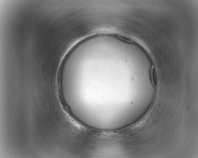 X0000064051056200602101445