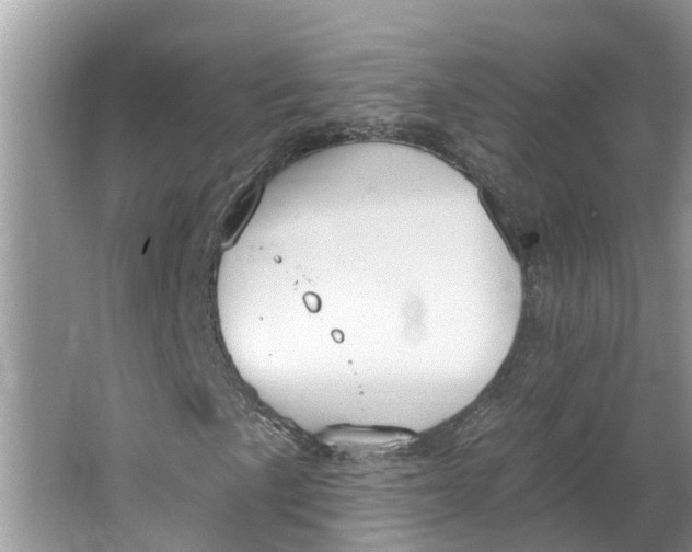 X0000064051057200602101445