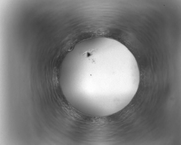 X0000064051058200602101445