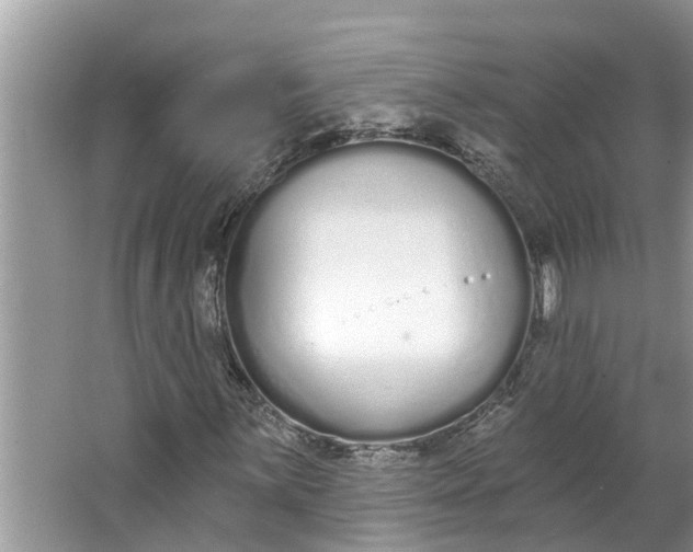 X0000064051059200602101445