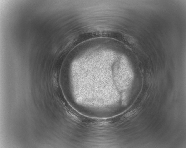 X0000064051060200602101445