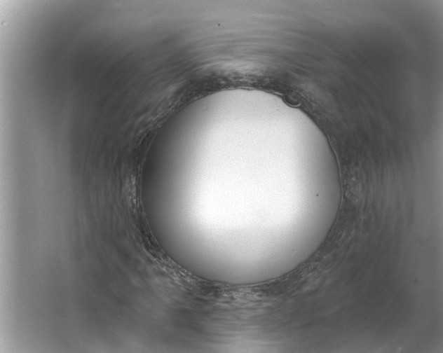 X0000064051061200602101445