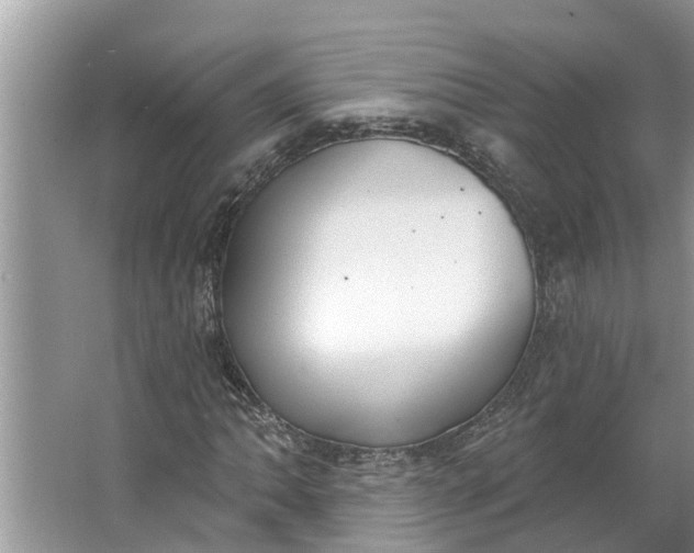 X0000064051062200602101445