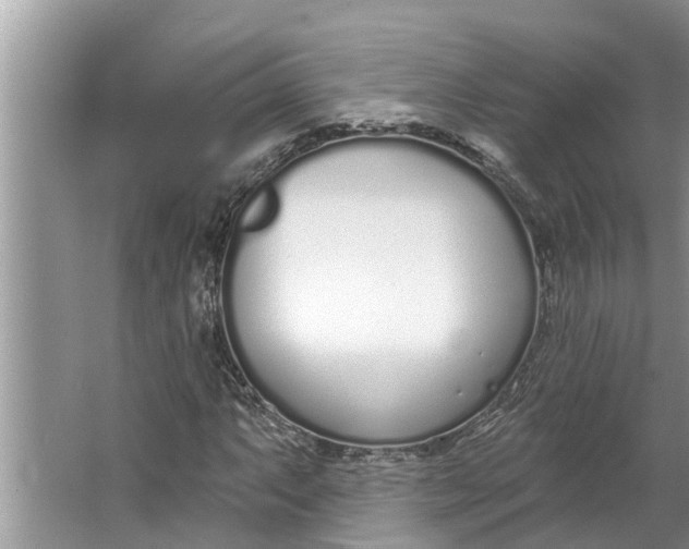 X0000064051063200602101445