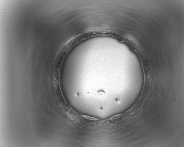 X0000064051064200602101445