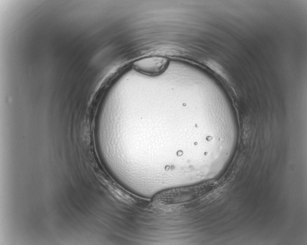 X0000064051067200602101444