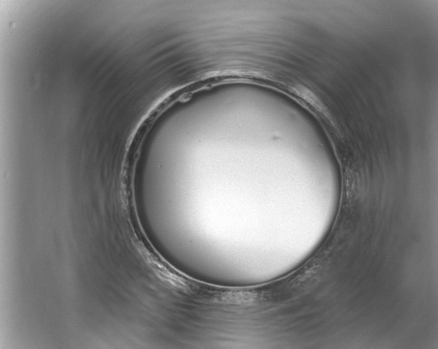 X0000064051068200602101444