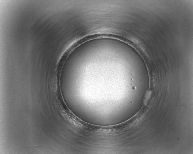 X0000064051069200602101444