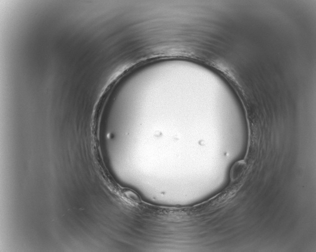 X0000064051071200602101444