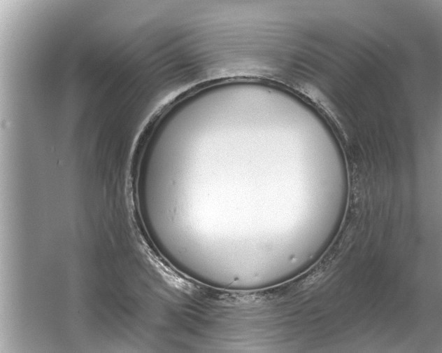 X0000064051072200602101444