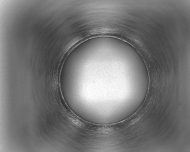 X0000064051073200602101444