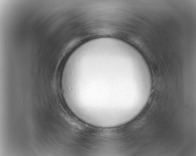 X0000064051074200602101444