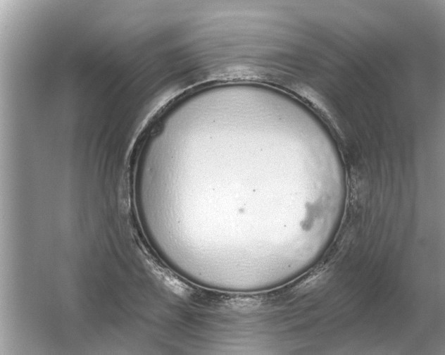 X0000064051075200602101444