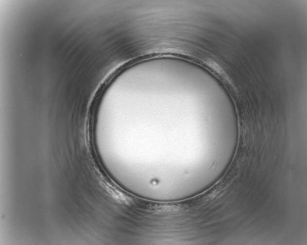 X0000064051076200602101444