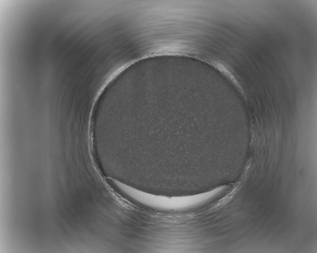 X0000064051077200602101444