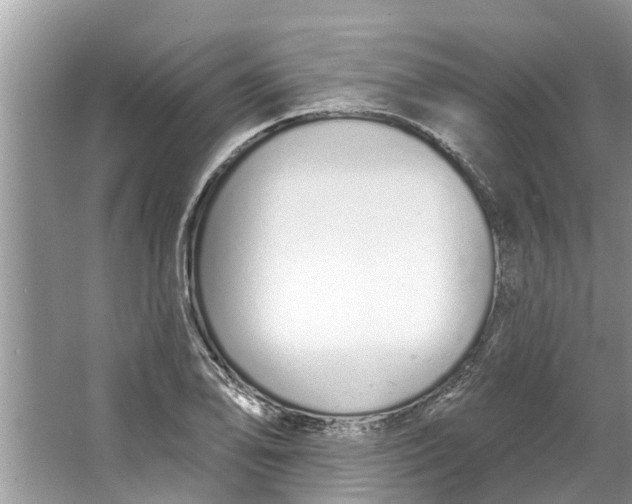 X0000064051078200602101444