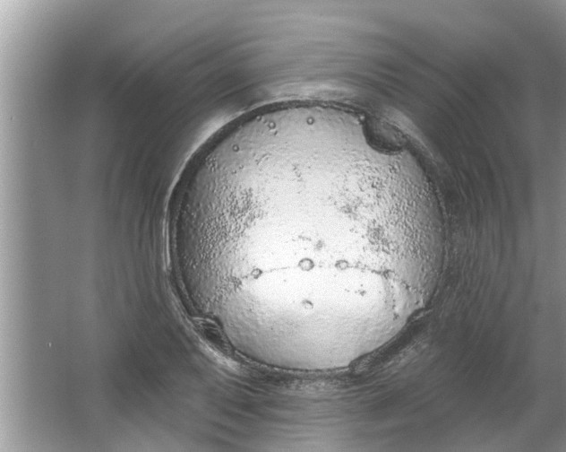 X0000064051079200602101444