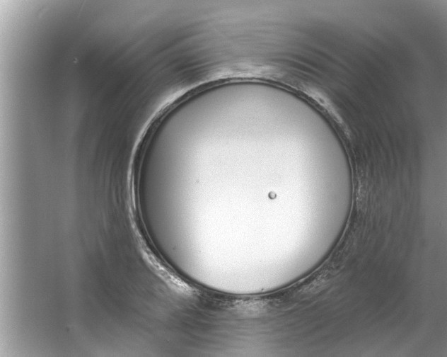 X0000064051080200602101444