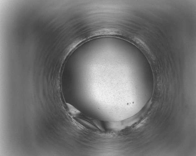 X0000064051081200602101444