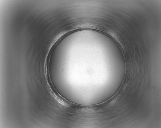 X0000064051082200602101444