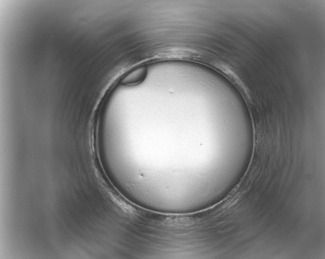 X0000064051083200602101444