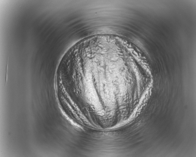 X0000064051084200602101444