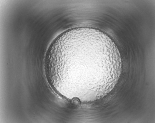 X0000064051086200602101444